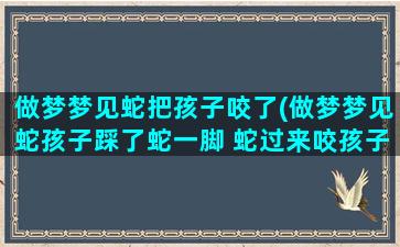 做梦梦见蛇把孩子咬了(做梦梦见蛇孩子踩了蛇一脚 蛇过来咬孩子)